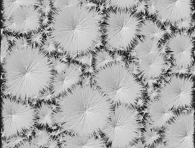 Updates and forecast - #1